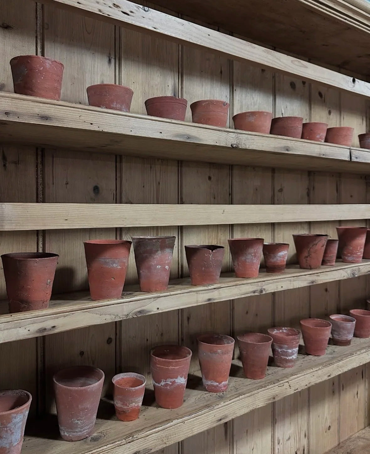 Antique terracotta pots