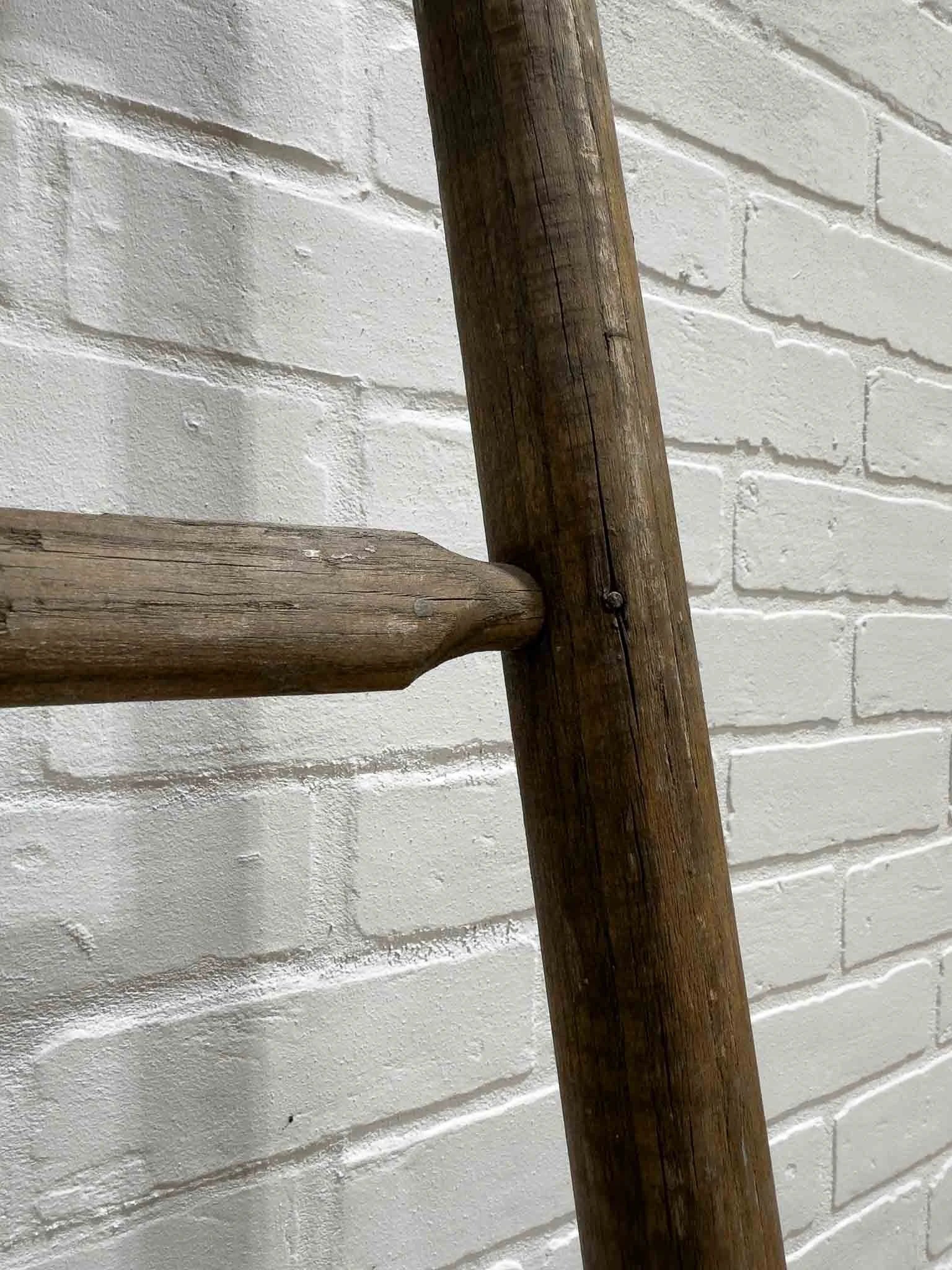 French fruit picking ladder