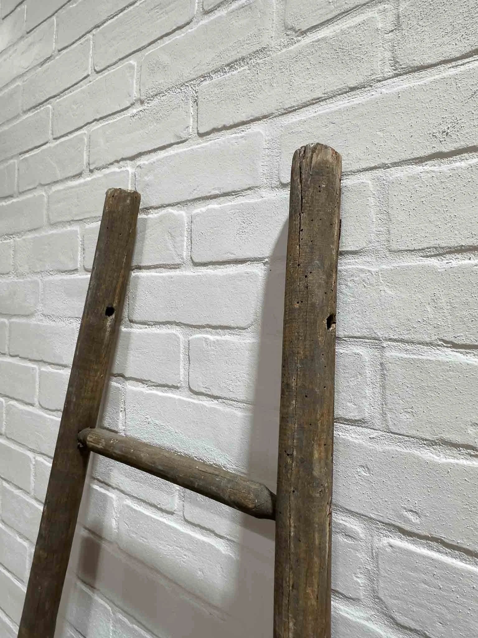 French fruit picking ladder