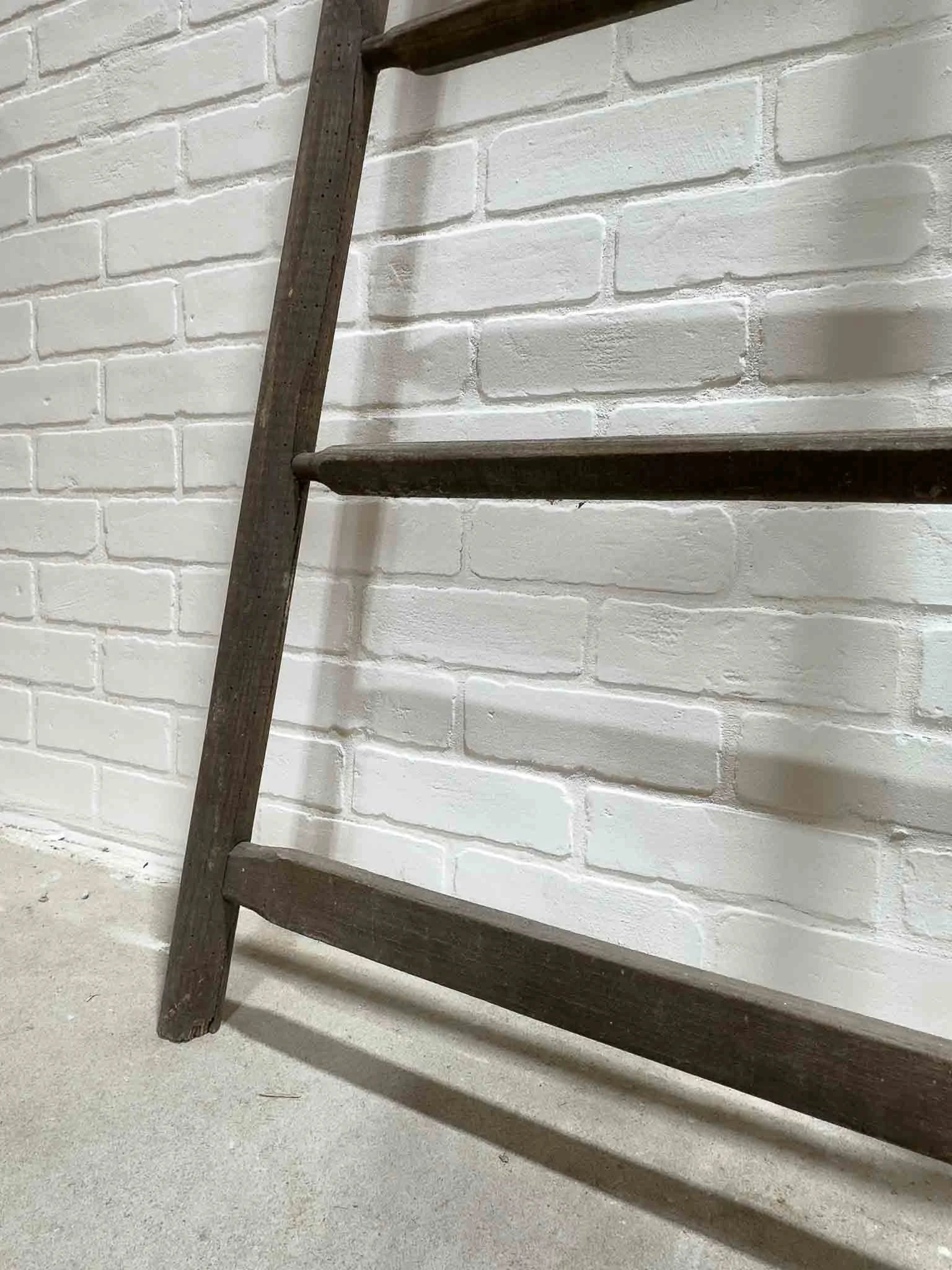 French fruit picking ladder