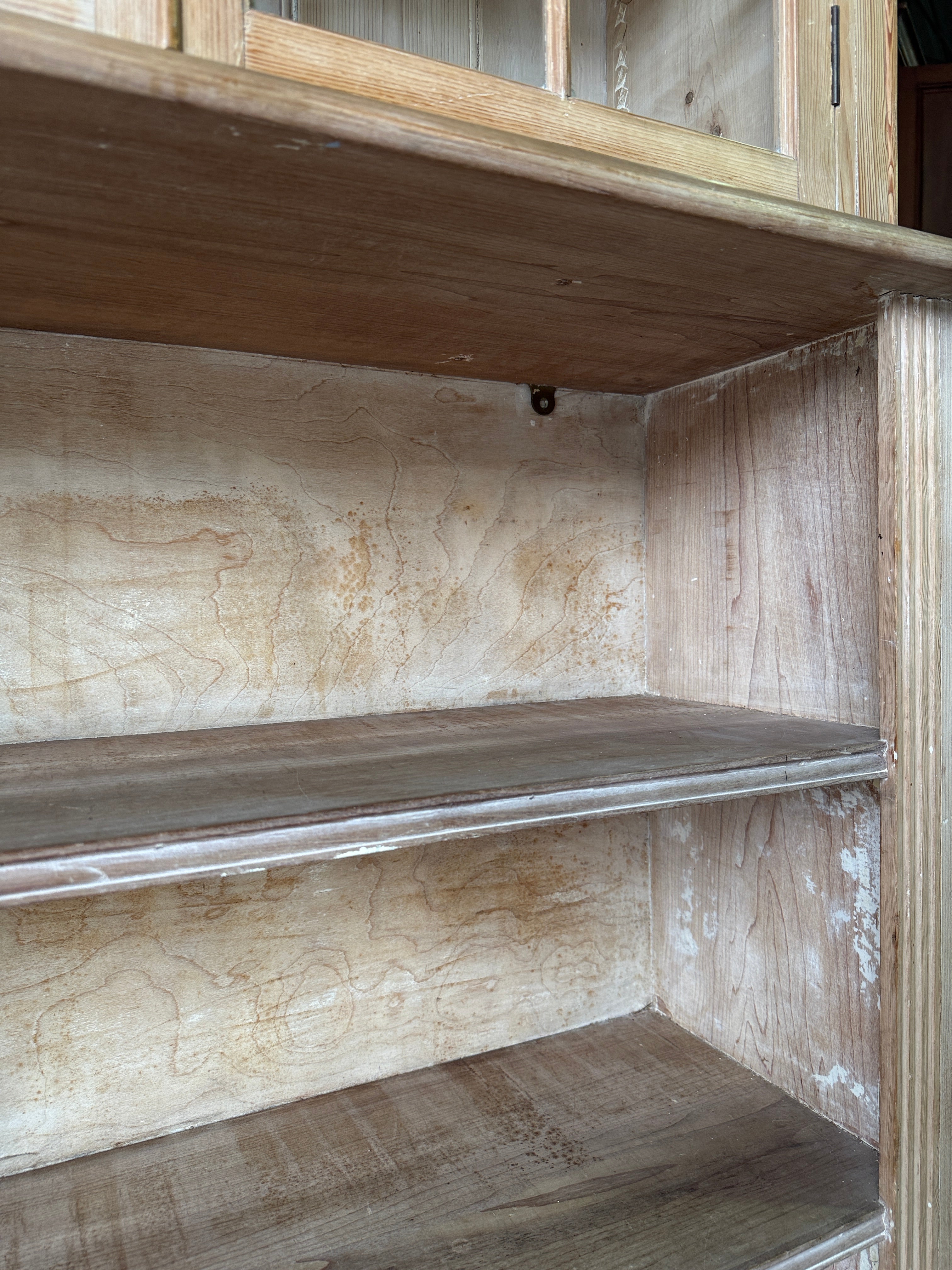 Incredible astragal glazed bookcase